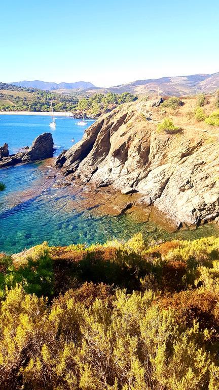 Studio "Les Roches Blanches" - Vue Mer & Vignes Баньюль-сюр-Мер Экстерьер фото